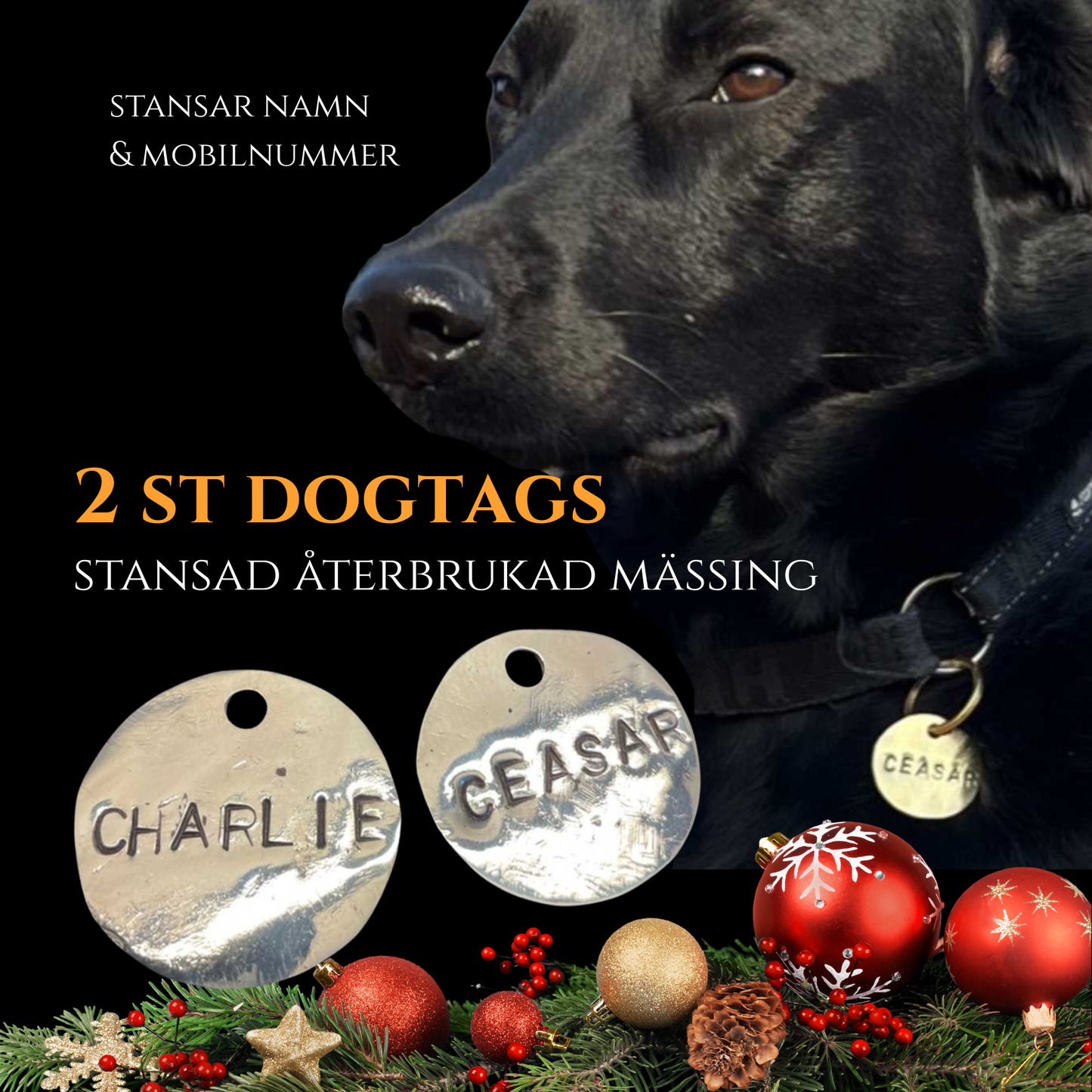 2:a dec - Julklapp till hunden