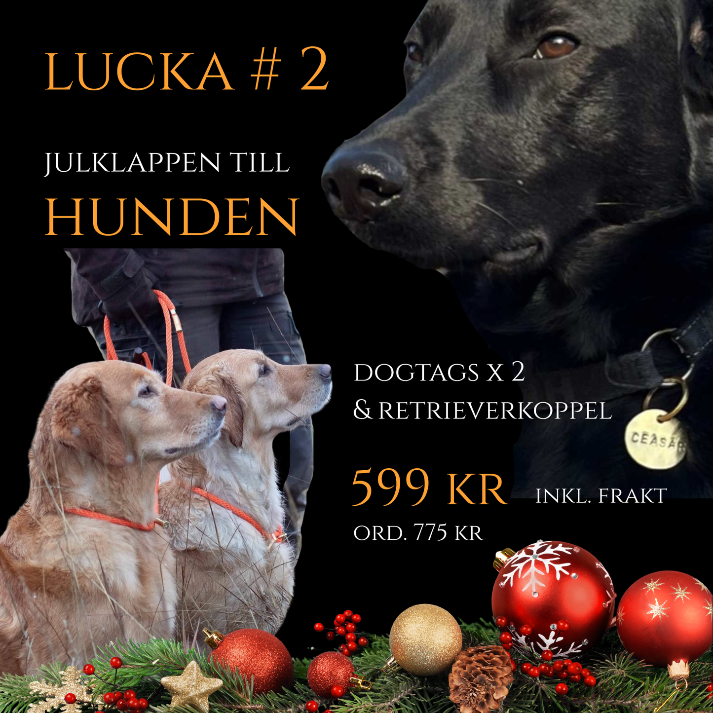 2:a dec - Julklapp till hunden