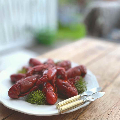 Kräftkniv Mässingshylsa