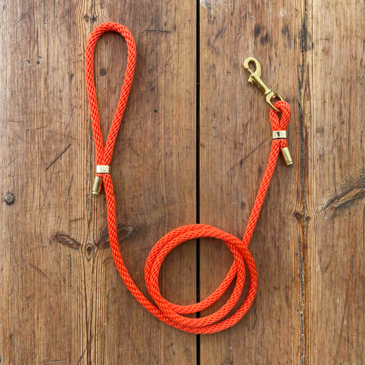 Hundkoppel - Orange - 150cm